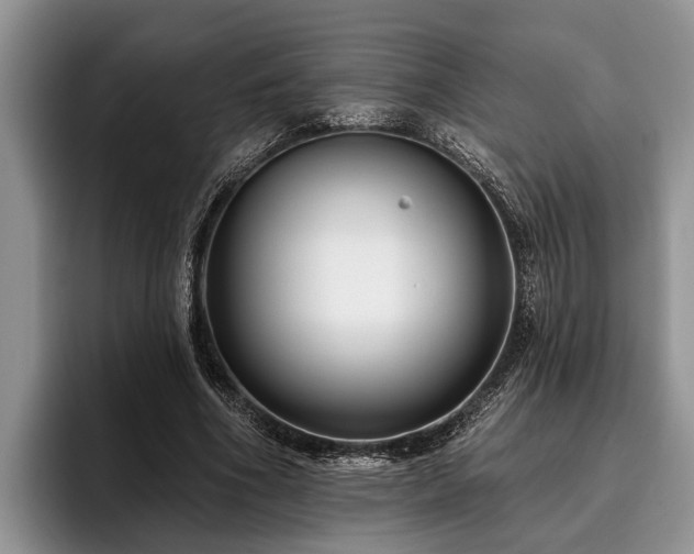 X0000095880586200801181207