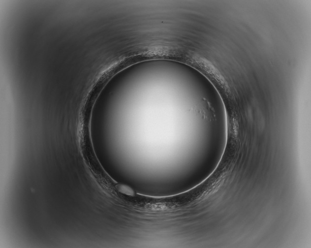 X0000095880588200801181207