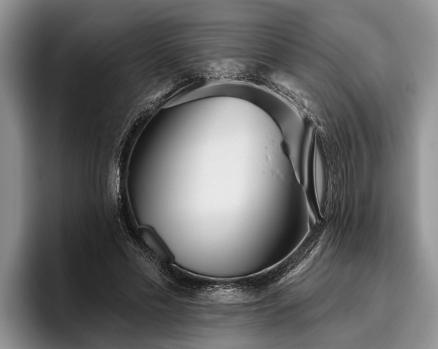 X0000095880589200801181207