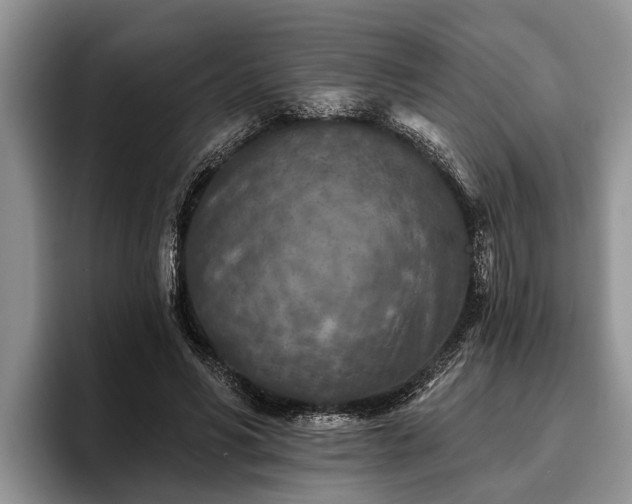 X0000095880590200801181207