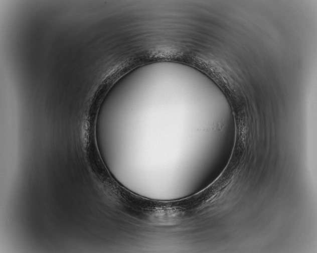 X0000095880591200801181207