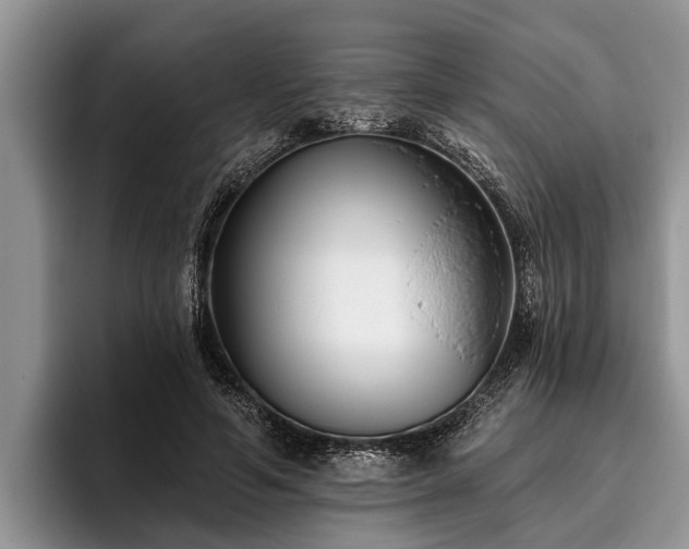 X0000095880594200801181207