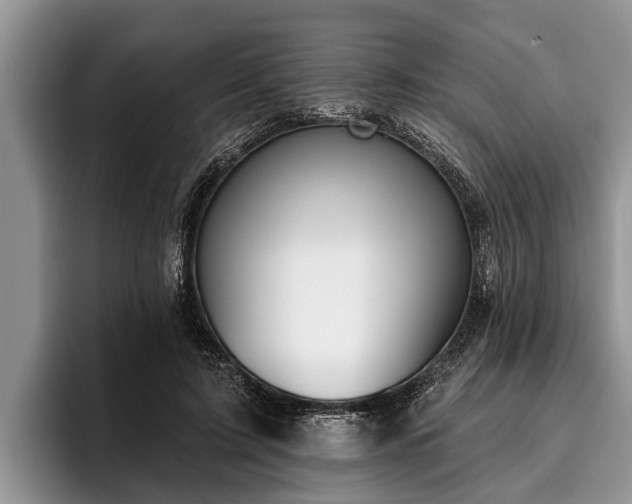 X0000095880595200801181207