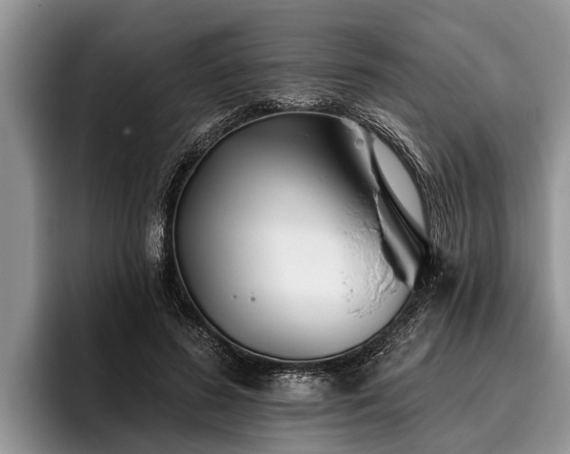 X0000095880596200801181207