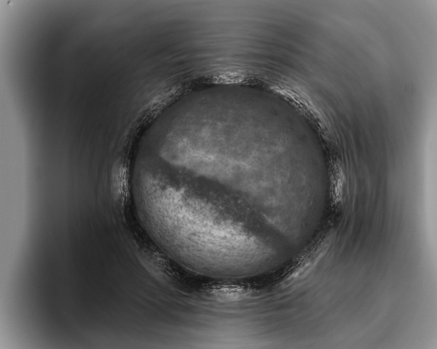 X0000095880598200801181207
