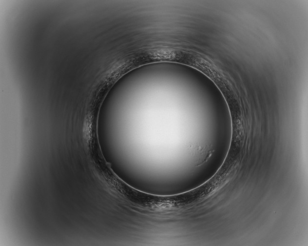 X0000095880600200801181207