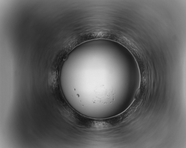 X0000095880605200801181207