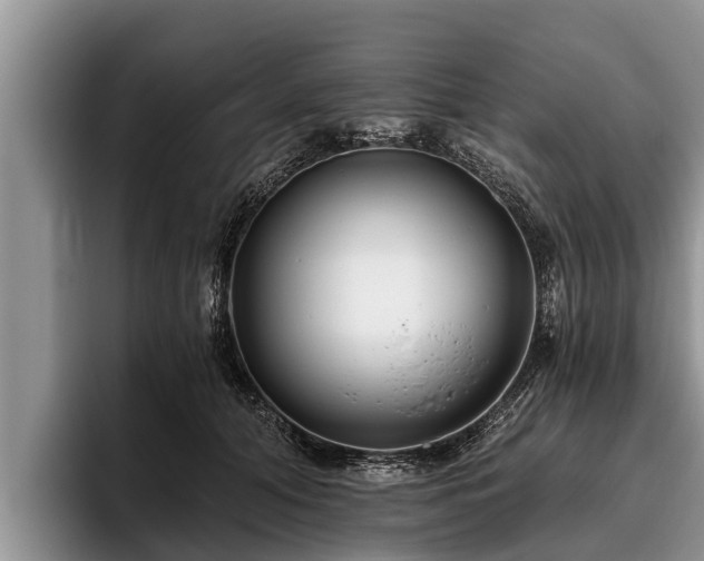 X0000095880608200801181207