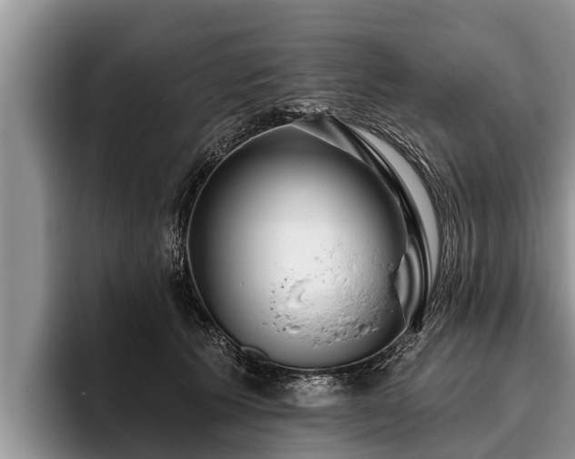 X0000095880609200801181207