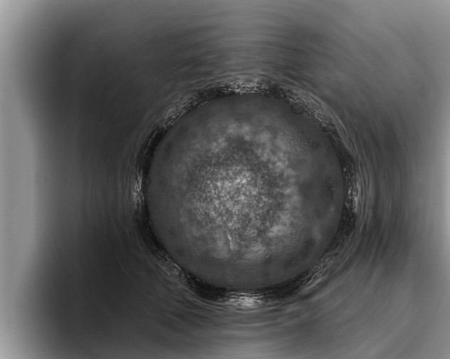 X0000095880610200801181207