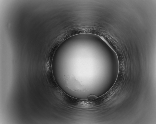 X0000095880611200801181207