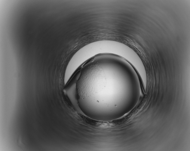 X0000095880621200801181207