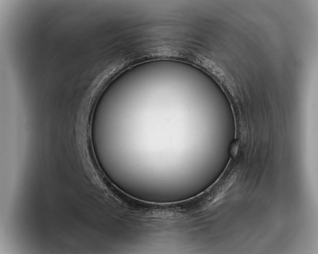X0000095880625200801181206