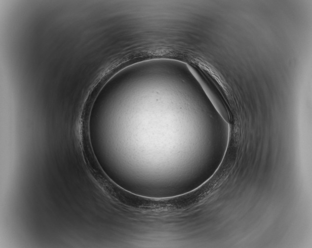 X0000095880626200801181206
