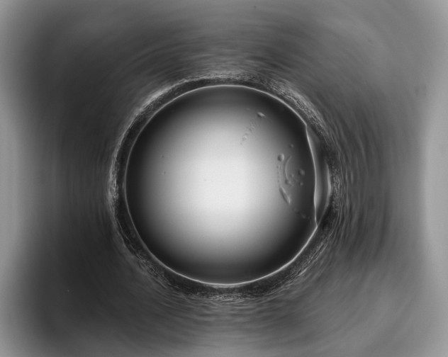 X0000095880628200801181206