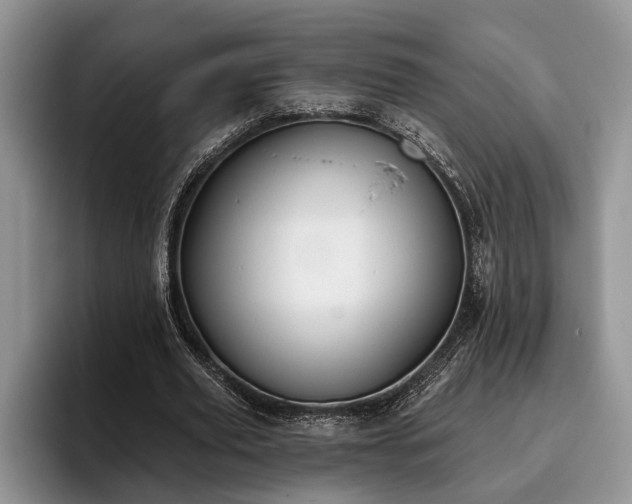 X0000095880629200801181206