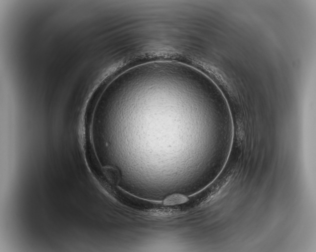 X0000095880630200801181206