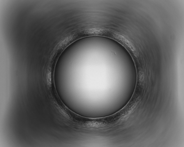 X0000095880633200801181206