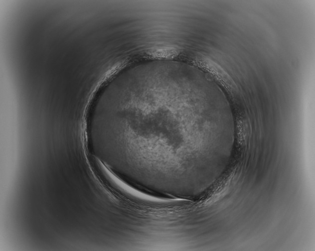 X0000095880634200801181206