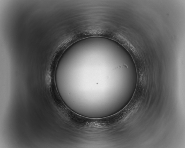 X0000095880635200801181206