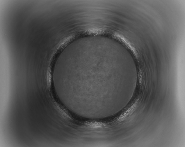X0000095880637200801181206