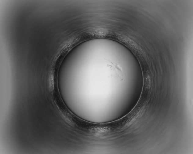 X0000095880638200801181206