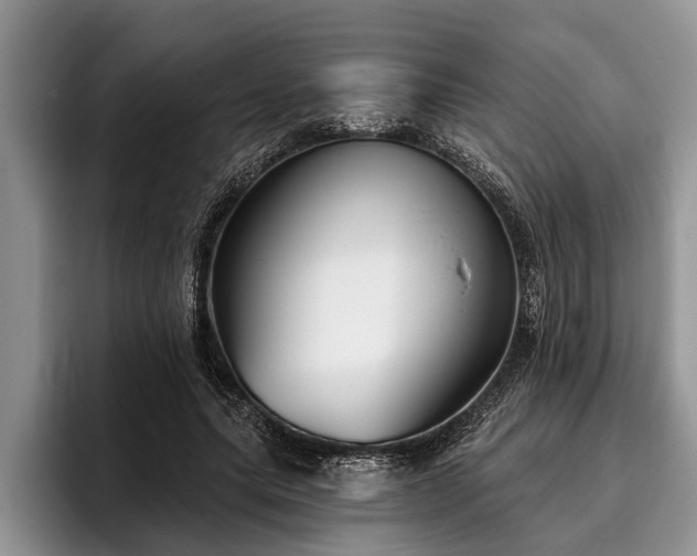 X0000095880639200801181206
