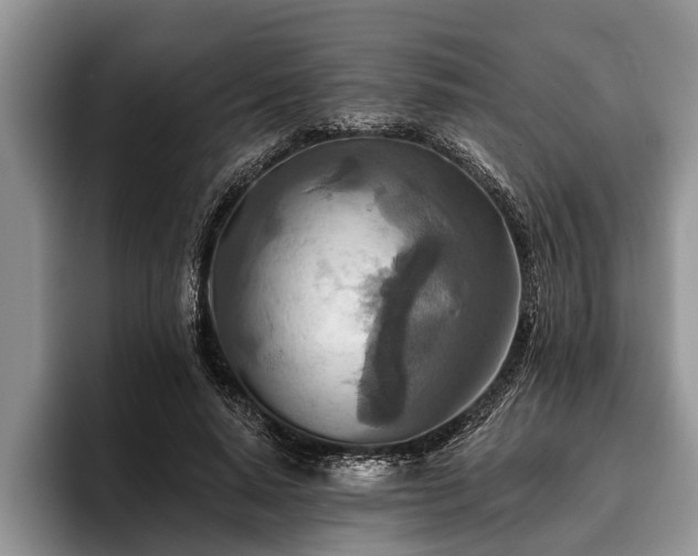 X0000095880640200801181206