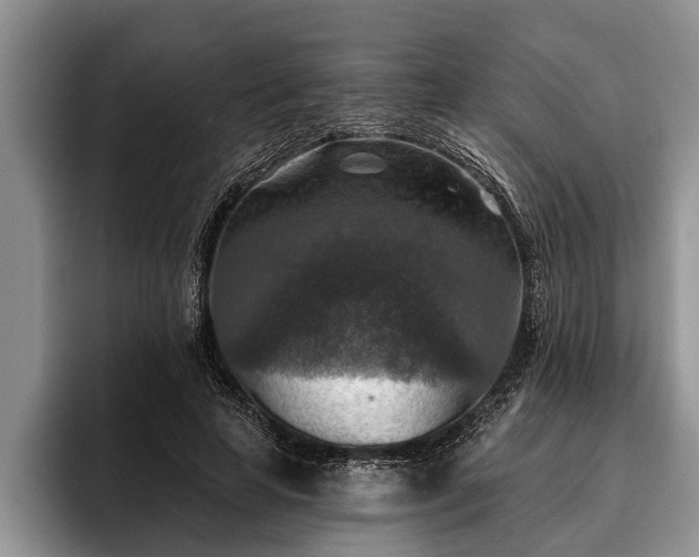 X0000095880641200801181206