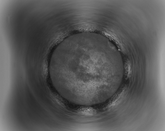 X0000095880642200801181206