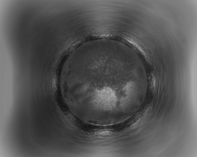 X0000095880643200801181206
