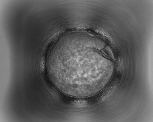X0000095880644200801181206