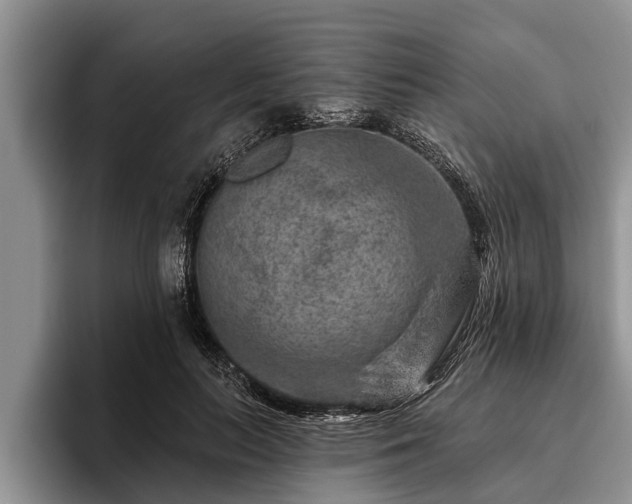 X0000095880647200801181206