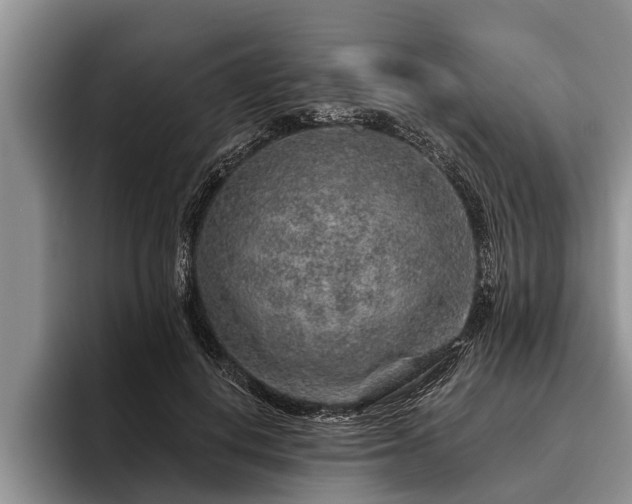 X0000095880648200801181206