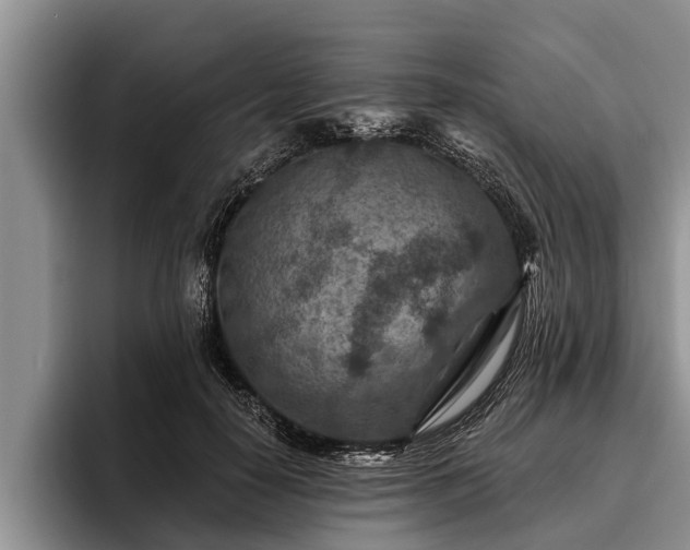 X0000095880650200801181206