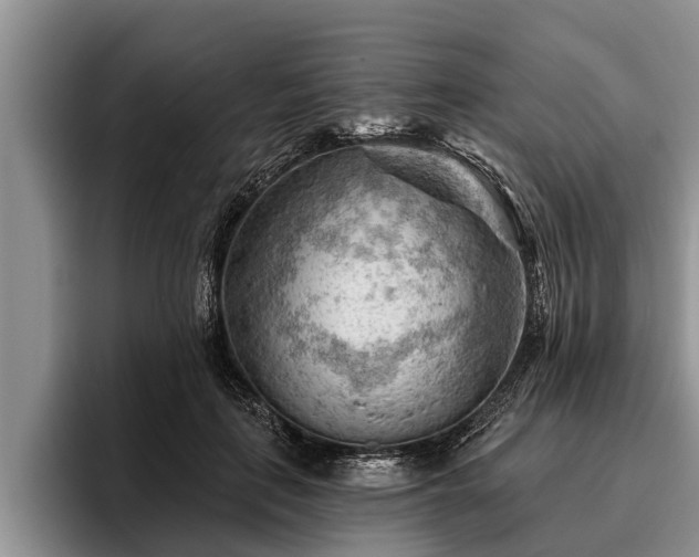 X0000095880651200801181206