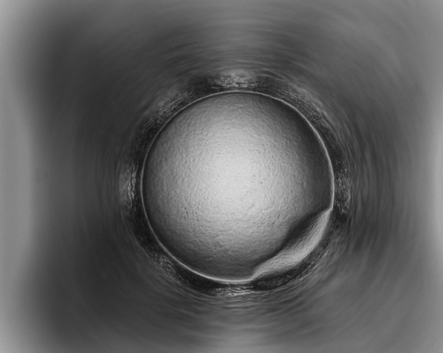 X0000095880652200801181206