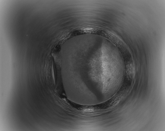 X0000095880653200801181206