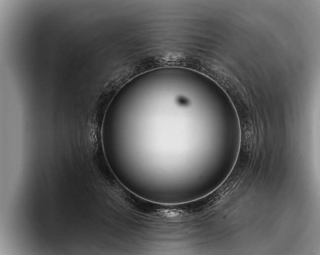 X0000095880654200801181206