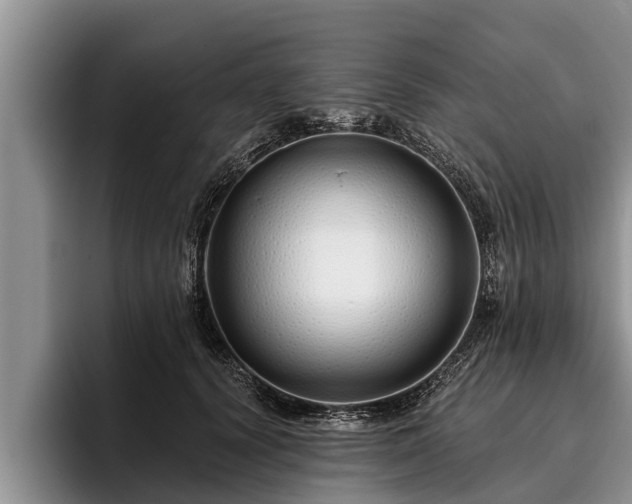 X0000095880656200801181206