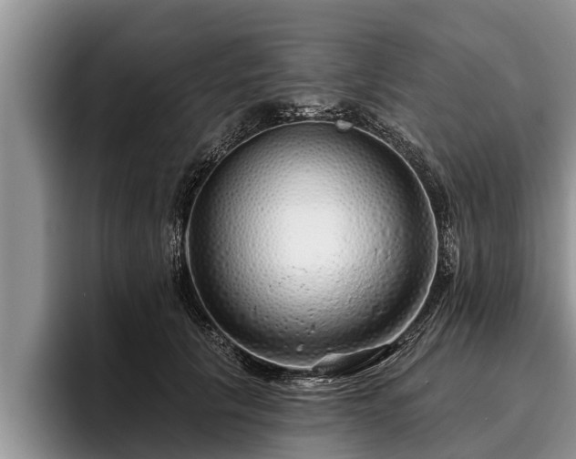 X0000095880657200801181206