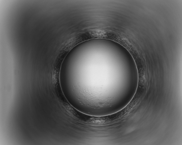 X0000095880658200801181206