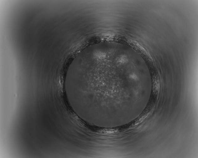 X0000095880661200801181207