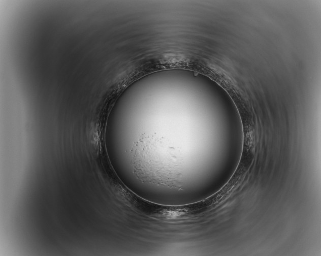 X0000095880662200801181207