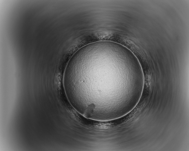 X0000095880664200801181207