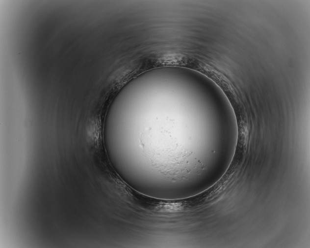 X0000095880665200801181207