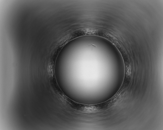X0000095880666200801181207