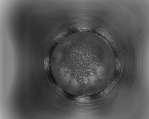 X0000095880670200801181207
