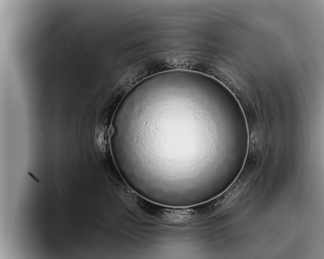 X0000095880671200801181207