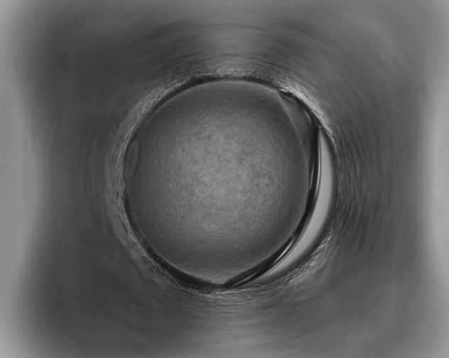 X0000095880673200801181206